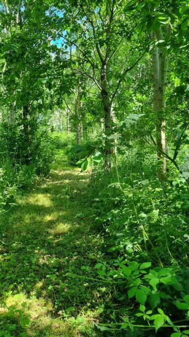 Hallegan Annexe With Private Garden And Woodland كامبورن المظهر الخارجي الصورة